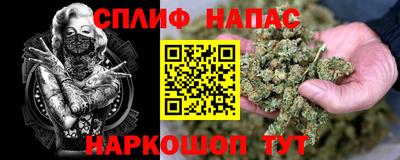 молекула духа Бийск