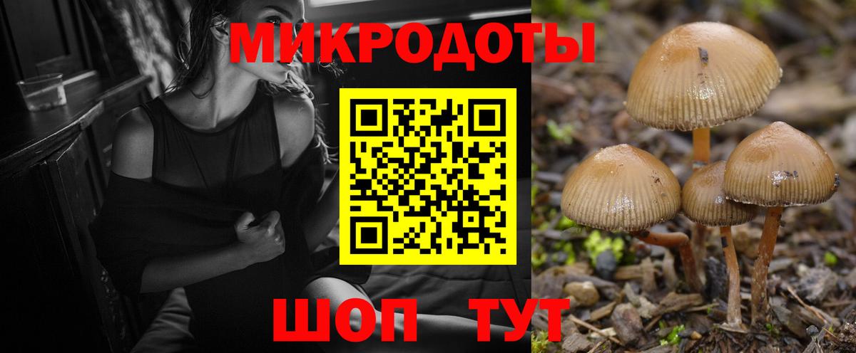Кизилюрт  Галлюциногенные грибы Cubensis  Галлюциногенные грибы Psilocybine cubensis  Вход с VPN 